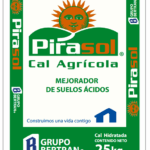 pirasol3